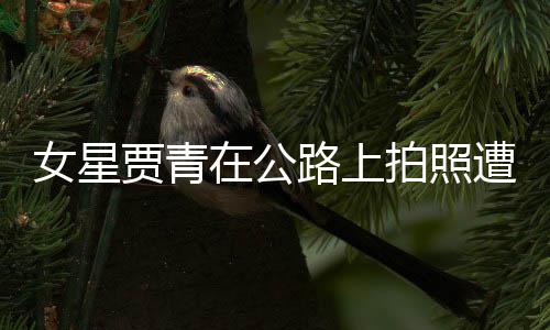 拍照女星在公遭交路上立马认错贾青警警告 删照
